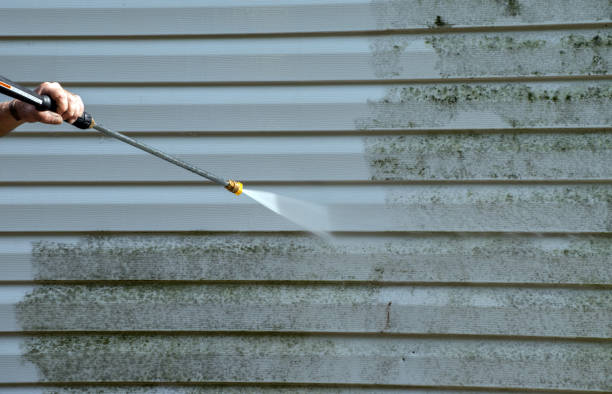 Roof Power Washing Services in Roessleville, NY