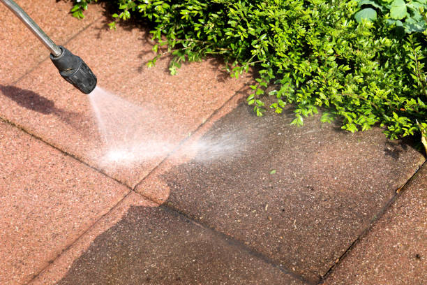 Best Roof Power Washing Services  in Roessleville, NY